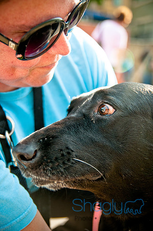 The Therapy Dogs-149