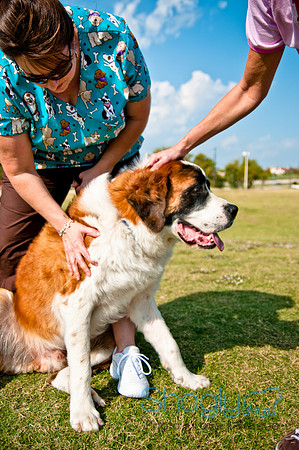 The Therapy Dogs-25