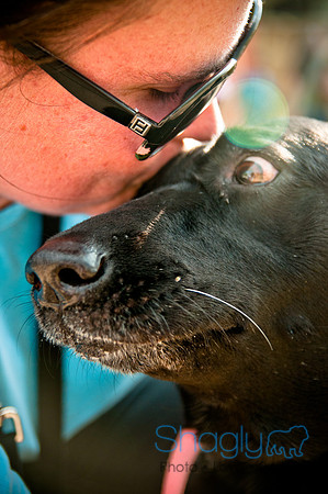 The Therapy Dogs-148