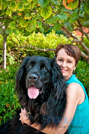 The Therapy Dogs-80