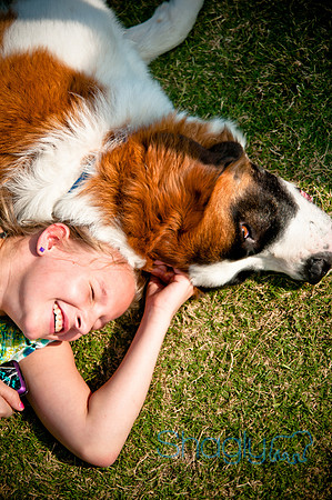 The Therapy Dogs-19