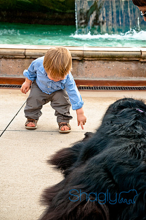 The Therapy Dogs-58