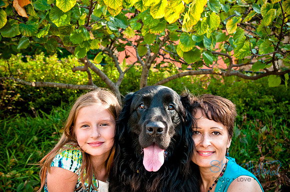 The Therapy Dogs-92