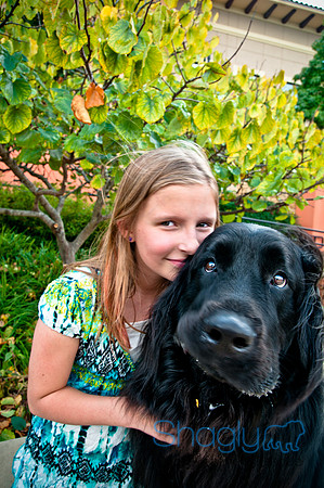 The Therapy Dogs-91
