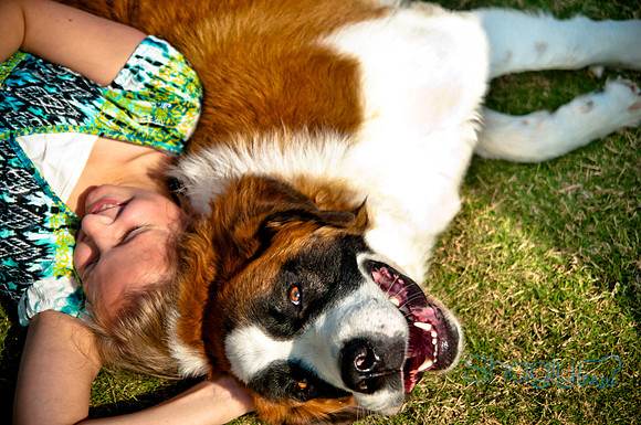 The Therapy Dogs-20