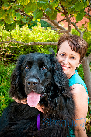 The Therapy Dogs-81
