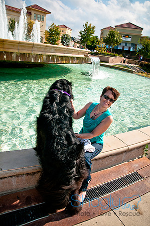 The Therapy Dogs-37