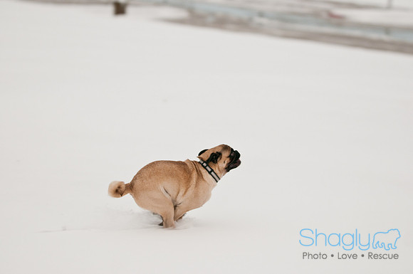 Snow Day 2011-17
