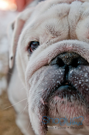 Snow Day 2011-2