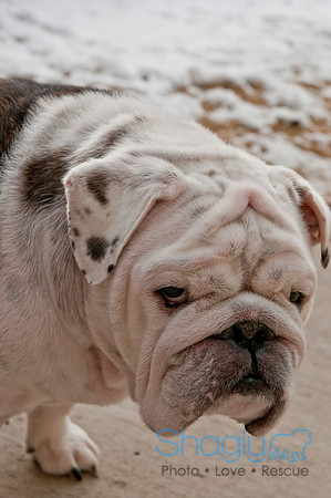 Snow Day 2011-2