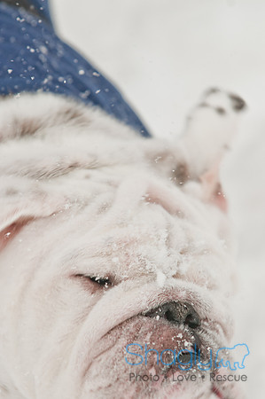 Snow Day 2011