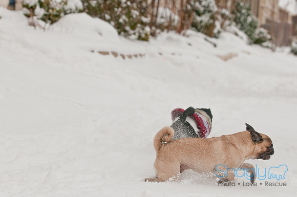 Snow Day 2011