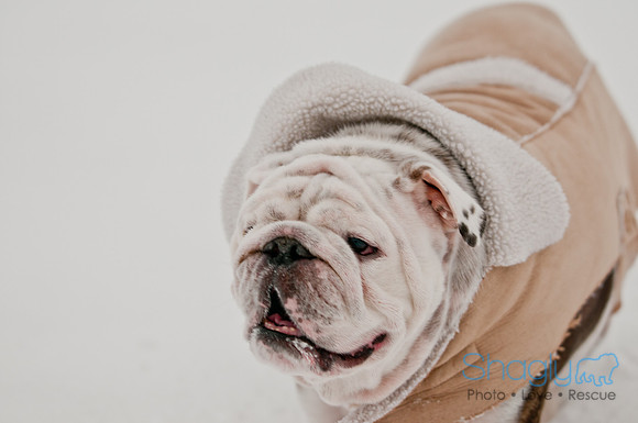 Snow Day 2011-11