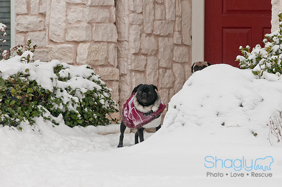 Snow Day 2011