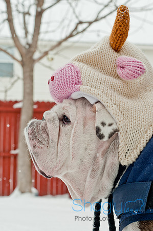 Snow Day 2011
