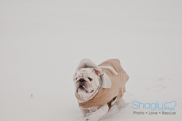 Snow Day 2011-9