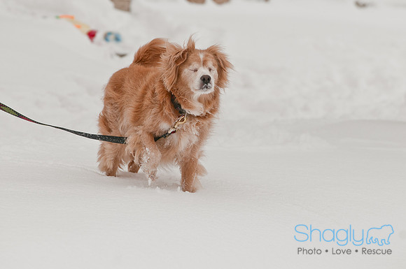 Snow Day 2011