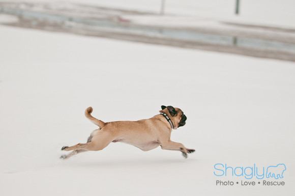 Snow Day 2011-18