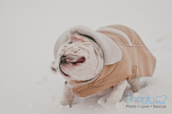 Snow Day 2011-10