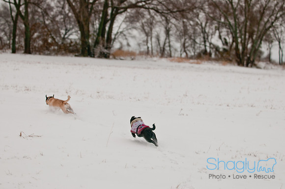 Snow Day 2011-20