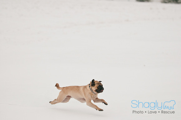 Snow Day 2011-13