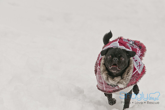 Snow Day 2011