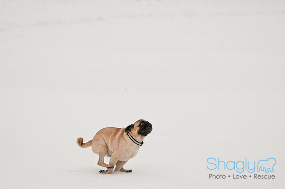 Snow Day 2011-14