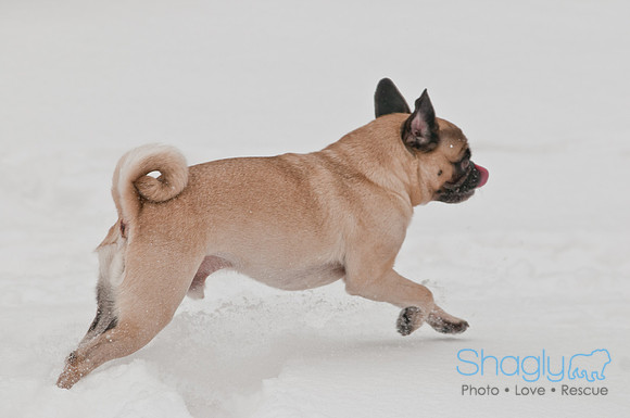 Snow Day 2011