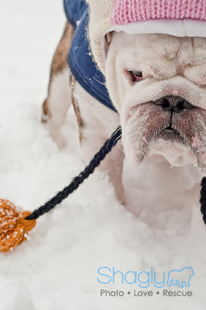 Snow Day 2011