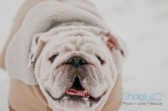 Snow Day 2011-12