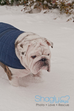Snow Day 2011