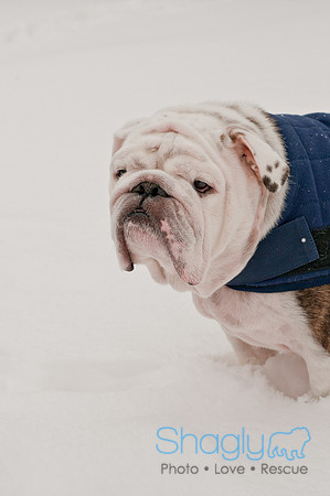 Snow Day 2011