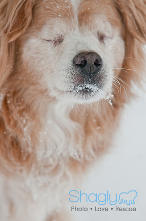 Snow Day 2011