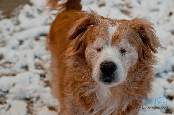 Snow Day 2011