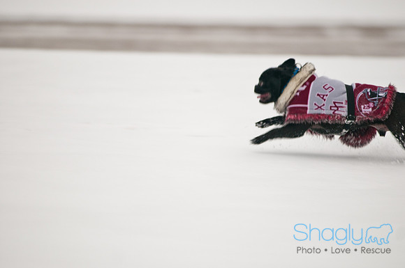 Snow Day 2011-22