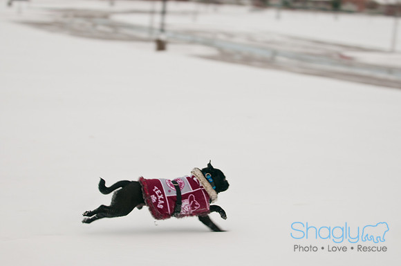 Snow Day 2011-19