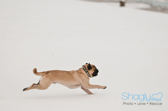 Snow Day 2011-16