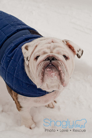 Snow Day 2011