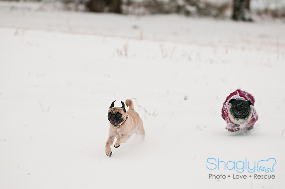 Snow Day 2011-21