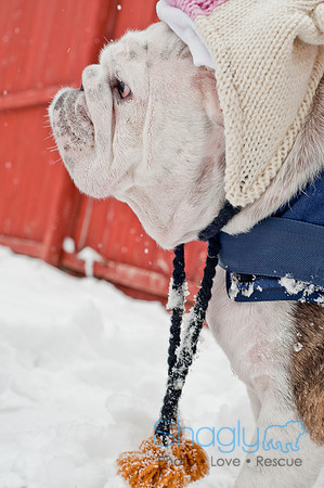 Snow Day 2011
