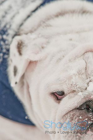 Snow Day 2011