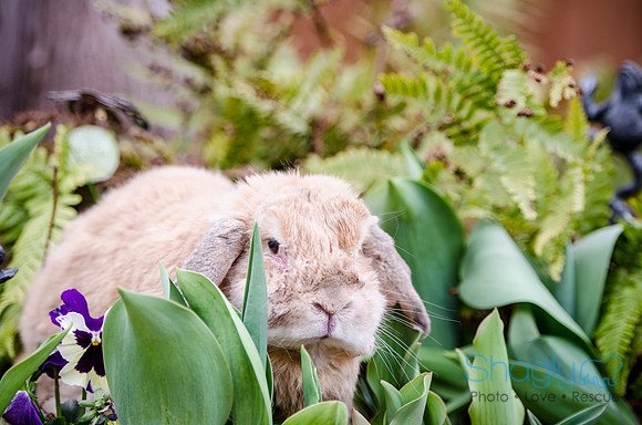 Suzi Outside-1