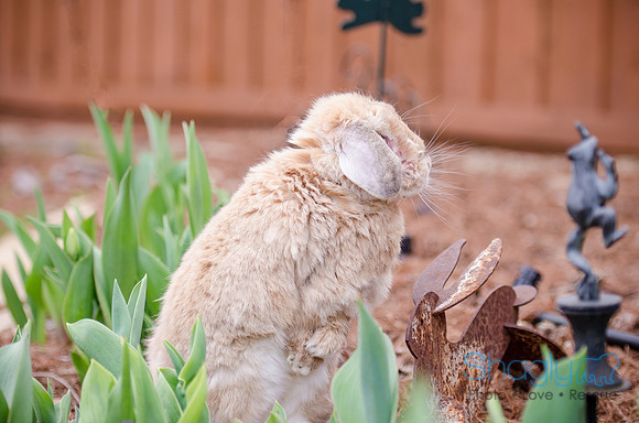 Suzi Outside-9