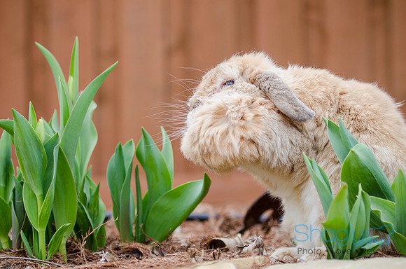 Suzi Outside-14