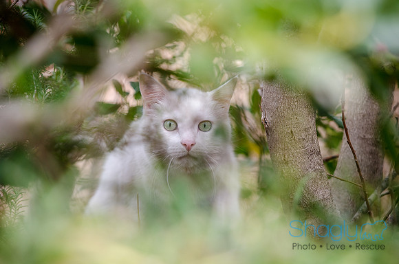 Suzi Outside-49