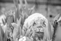 Suzi Outside-11