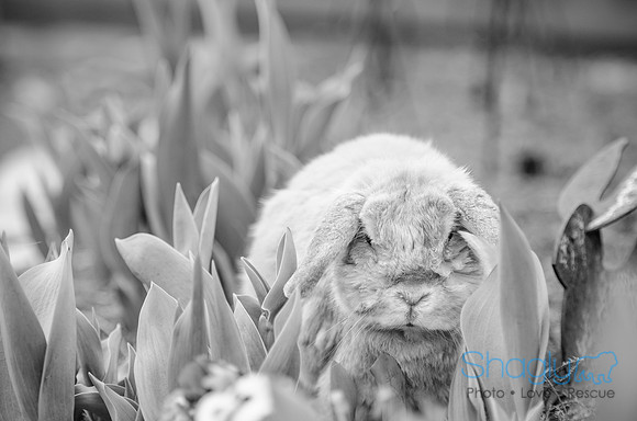 Suzi Outside-11