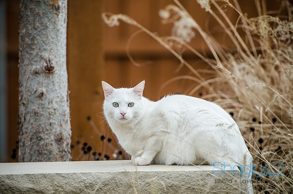 Suzi Outside-55