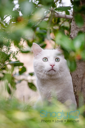 Suzi Outside-53