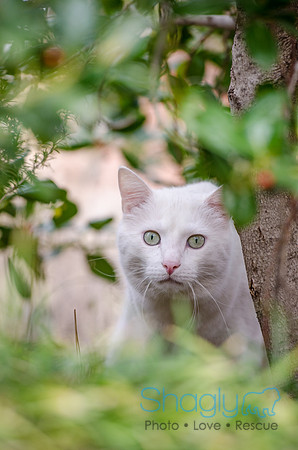 Suzi Outside-51